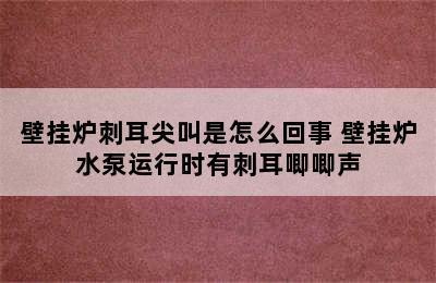 壁挂炉刺耳尖叫是怎么回事 壁挂炉水泵运行时有刺耳唧唧声